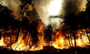 texas-wildfires-011